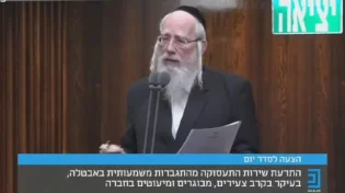 צפו: אייכלר בכנסת: "בשביל ישראל ביתנו החרדים הם איום קיומי"