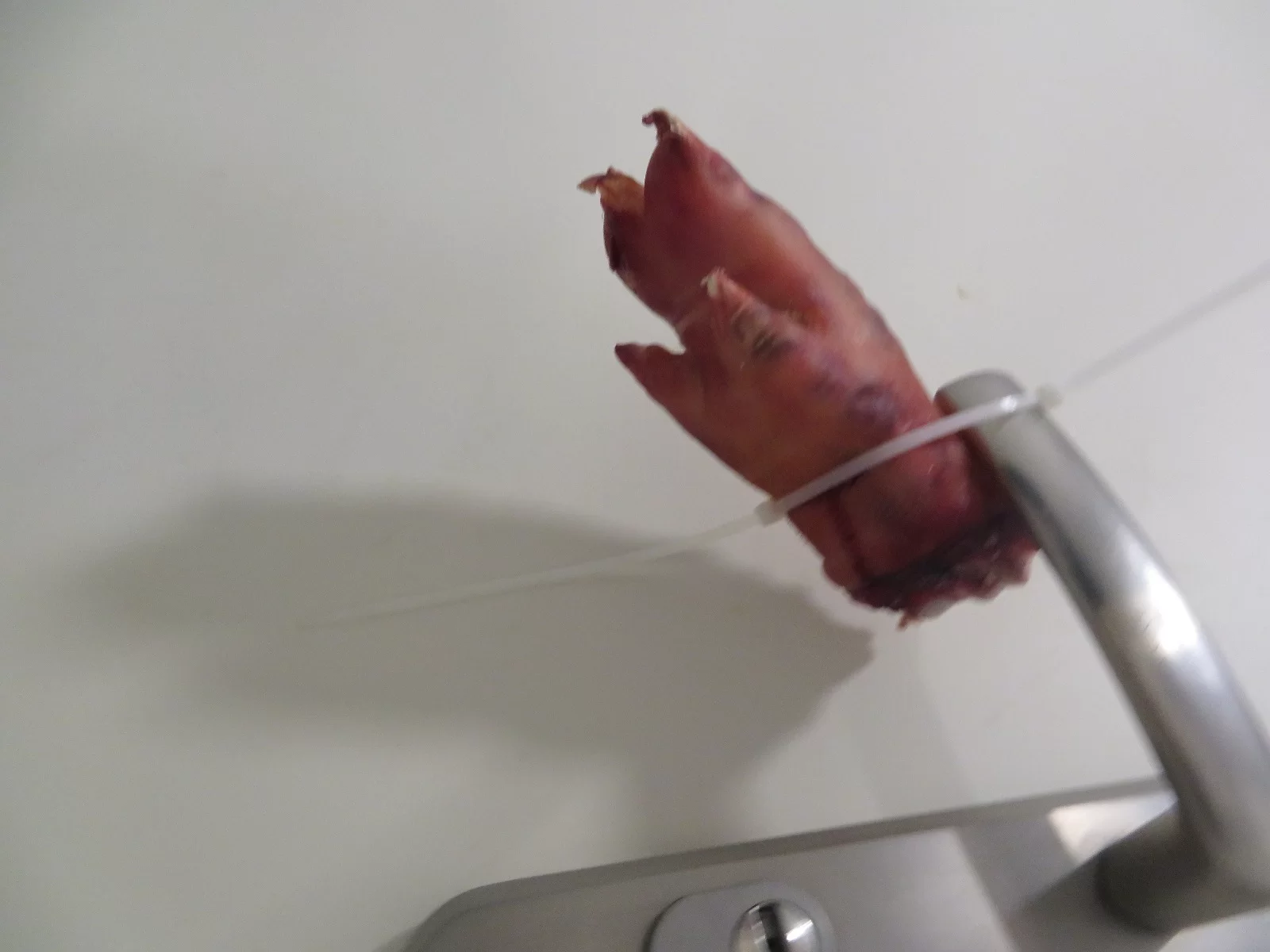 זעזוע בחריש: רגל חזיר הונחה בפתח ביתה של משפחה חרדית