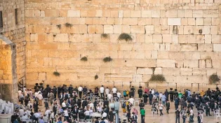 הכל על מתווה הכותל