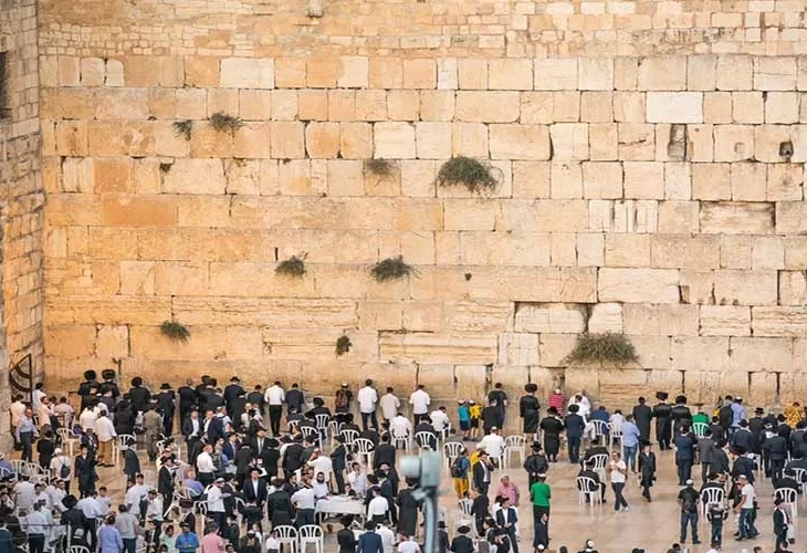 הכל על מתווה הכותל