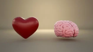 רגשות מול שכל