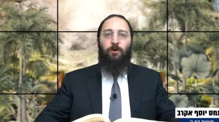 דף יומי: הדף היומי לצפייה - תענית ג' - י"א כסלו