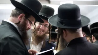 מקומם: האם אחיה של דינה הסכימו להתבוללות?