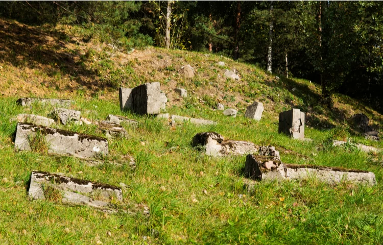 שברו את הקבר של אביהם: כדי לגלות מי בנו מתוך כל ה-10 שברו את הקבר של אביהם: כדי לגלות מי בנו מתוך כל ה-10