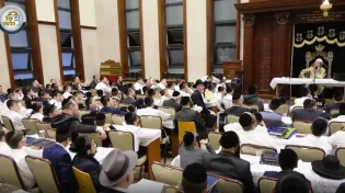 מרומם את הנפש: שידור חוזר משיחת רבי אלימלך בידרמן לחנוכה