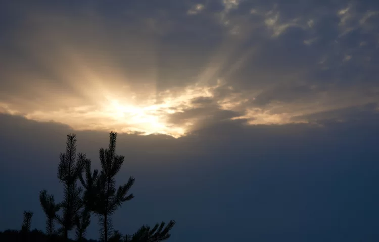 סגולה לתפילה שתתקבל: סגולה בדוקה לבקשה שתתקבל סגולה לתפילה שתתקבל: סגולה בדוקה לבקשה שתתקבל