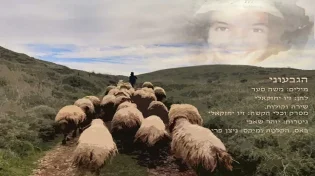 זיו יחזקאלי - "הגבעוני"