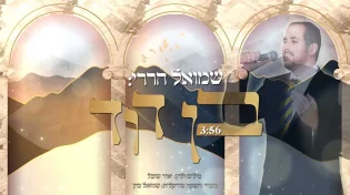 שמואל הררי - "בן דוד" 