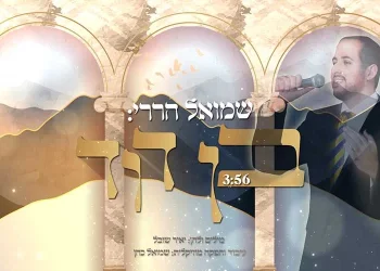 שמואל הררי - "בן דוד" 