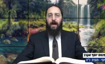 דף יומי: הדף היומי לצפייה - תענית כ"ט - ז' טבת