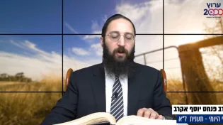 דף יומי: הדף היומי לצפייה - תענית ל"א - ט’ טבת