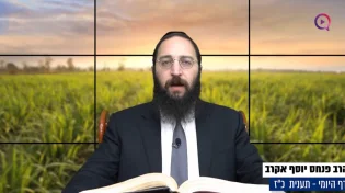 דף יומי: הדף היומי לצפייה - תענית כ"ז - ה’ טבת
