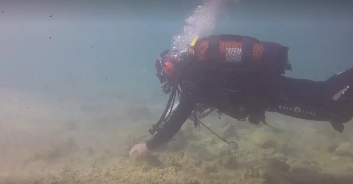 התגלה שלל אוצרות עתיק; 2 ספינות טרופות נגלו בחופי קיסריה