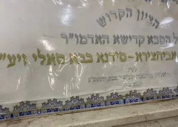 זעם: משתוללים במסיבות אבל יגבילו את הילולת הבבא סאלי