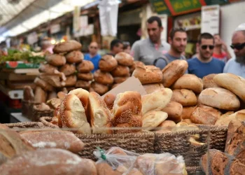 יום עצוב: רפורמת הכשרות המסוכנת של מתן כהנא יוצאת לדרך