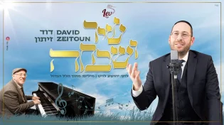 דוד זיתון - "שיר ושבחה"