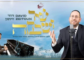 דוד זיתון – "שיר ושבחה"