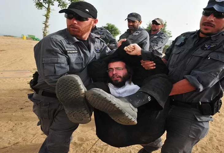 אלימות בלתי אנושית