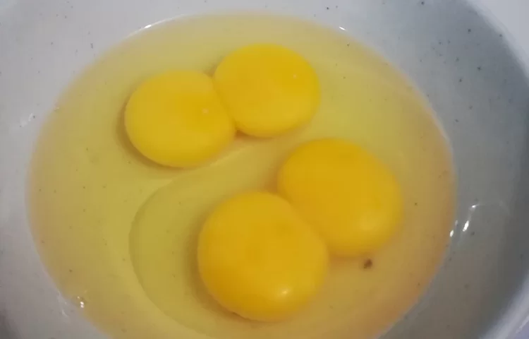 דם בביצים - דם בביצה הלכה: האם אפשר לאכול ביצה עם דם? כשרות דם בביצים - דם בביצה הלכה: האם אפשר לאכול ביצה עם דם? כשרות