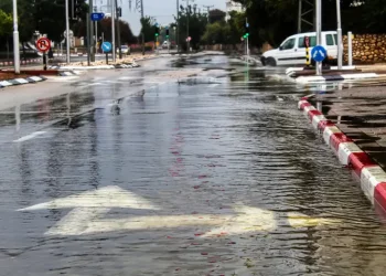 תחזית מזג האוויר: שלג וגשם