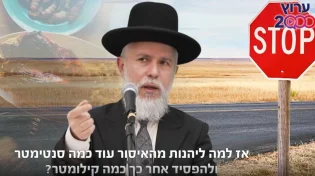 מותר או אסור? זו שאלה של הסתכלות: זה מה שיש לרב זמיר להגיד