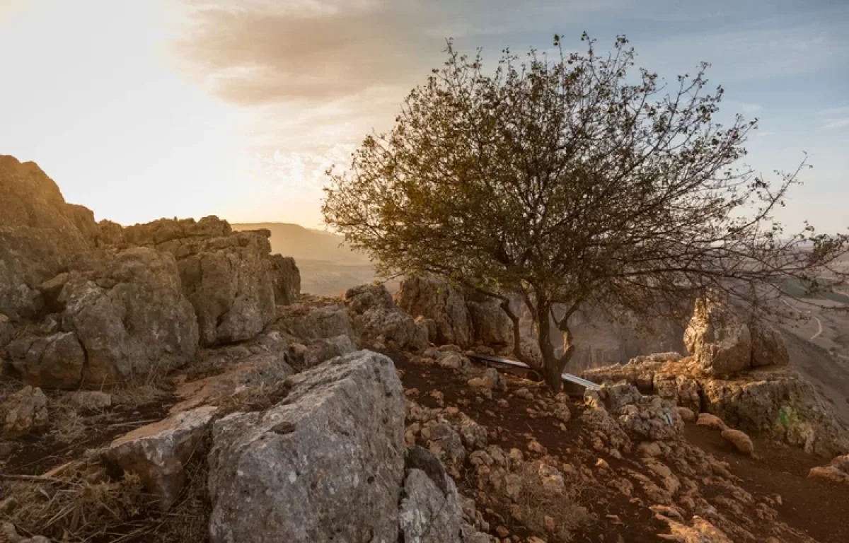 3 מילים שיעניקו לכם לברכה והצלחה בכל מעשה ידיכם 