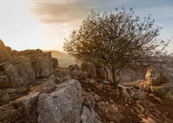 3 מילים שיעניקו לכם לברכה והצלחה בכל מעשה ידיכם 