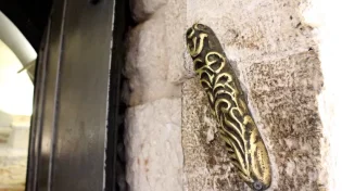 קביעת מזוזה בלילה: מותר?