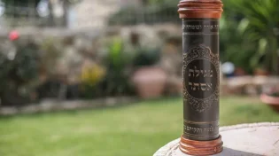 האם מותר לקרוא תהילים בתענית אסתר?