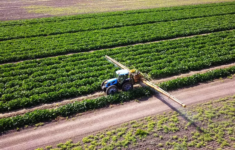 האם מותר לאכול היתר מכירה? היתר מכירה: מה אסור ומה מותר? האם מותר לאכול היתר מכירה? היתר מכירה: מה אסור ומה מותר?
