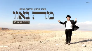 צודיק גרינוולד - "מה נאוו"