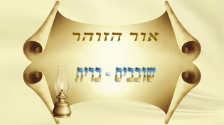 שובבי''ם - הברית