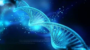 ה -DNA היהודי ברוב הדרו