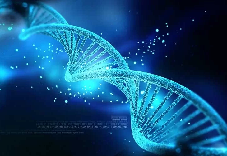 ה -DNA היהודי ברוב הדרו