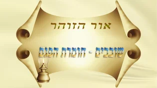 שובבים - חומרת הפגם