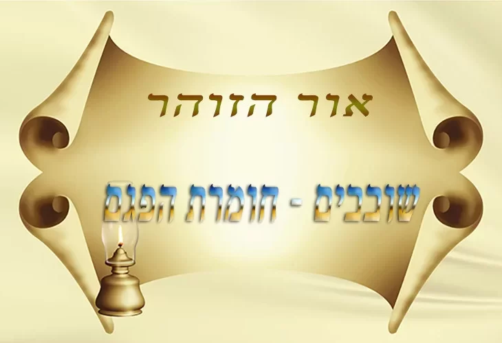 שובבים - חומרת הפגם
