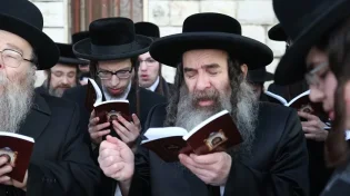 בשבת הקרובה: נבואת פרשת פרה "וזרקתי עליכם מים טהורים"