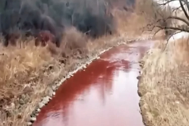 סימן לגאולה? נהרות דם ברחבי העולם