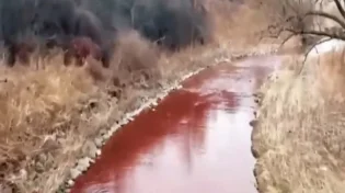 סימן לגאולה? נהרות דם ברחבי העולם