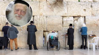 ההתבטאות הכואבת של מרן שר התורה הגר"ח קנייבסקי