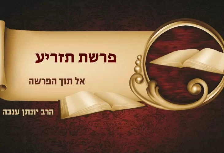 פרשת תזריע | דברי תורה מפי הרב יונתן