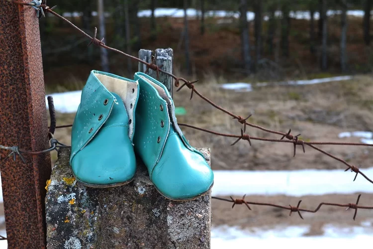 תינוק בחבילת סמרטוטים: העדות המצמררת של הרב ישראל שפירא