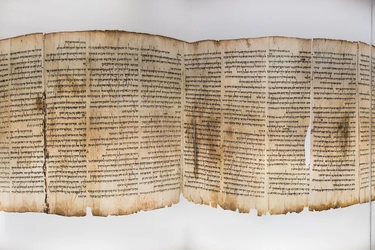 הגילוי המצמרר: "גילינו על הקלף כתמי דם גדולים" הגילוי המצמרר: "גילינו על הקלף כתמי דם גדולים"