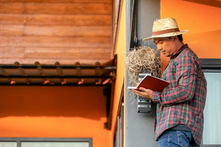 איך עושים שילוח הקן הסבר: שילוח הקן אדן החלון?