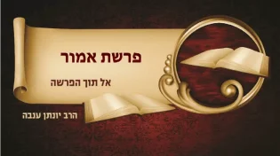 סודות וסגולות מהפרשה | הרב בתוכנית על פרשת השבוע