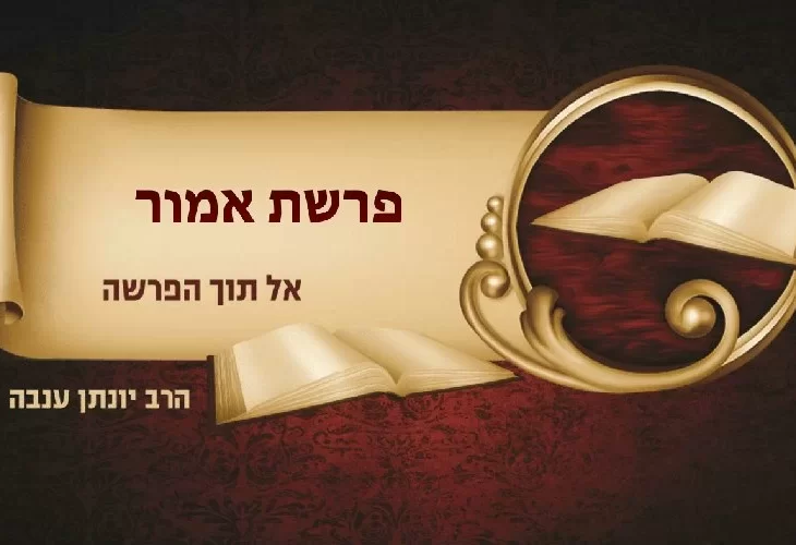 סודות וסגולות מהפרשה | הרב בתוכנית על פרשת השבוע