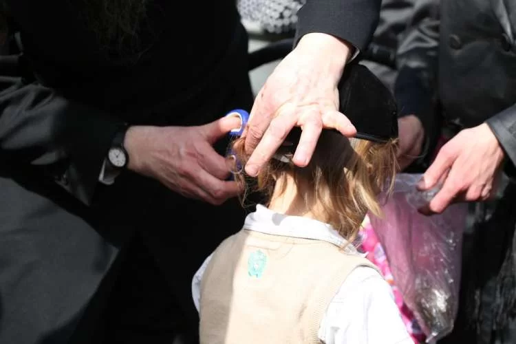 מקור מנהג החלאקה בל"ג בעומר: "שם ישמח שמחה גדולה"