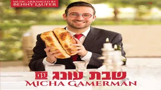 מיכה גמרמן - "שבת עונג"