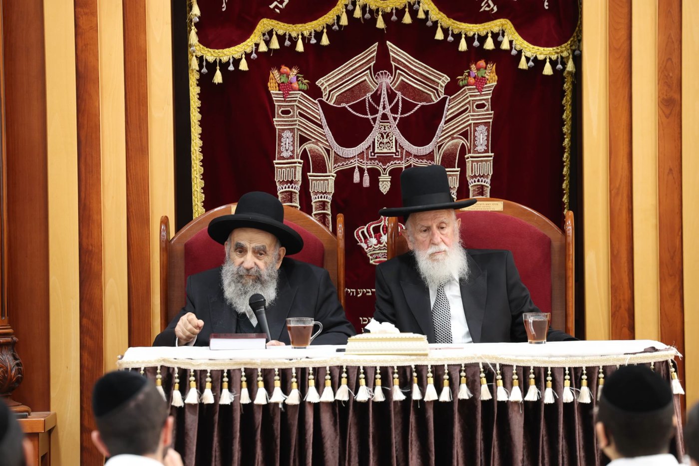 (צילום: דוד ארזני)