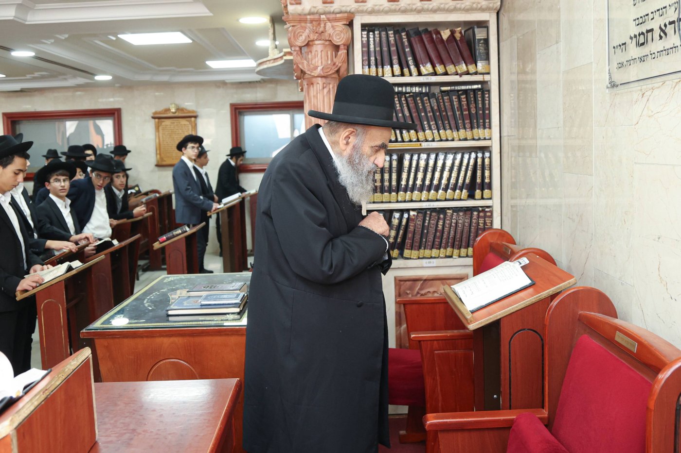 (צילום: דוד ארזני)